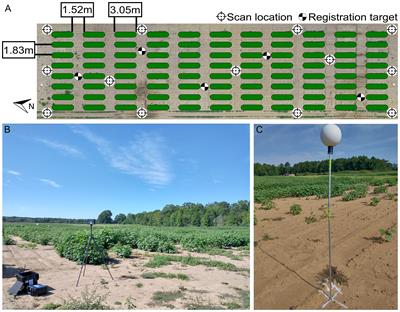 Cotton morphological traits tracking through spatiotemporal registration of terrestrial laser scanning time-series data